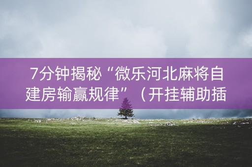 7分钟揭秘“微乐河北麻将自建房输赢规律”（开挂辅助插件)