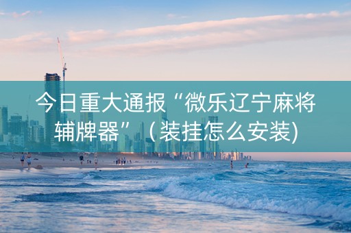 今日重大通报“微乐辽宁麻将辅牌器”（装挂怎么安装)