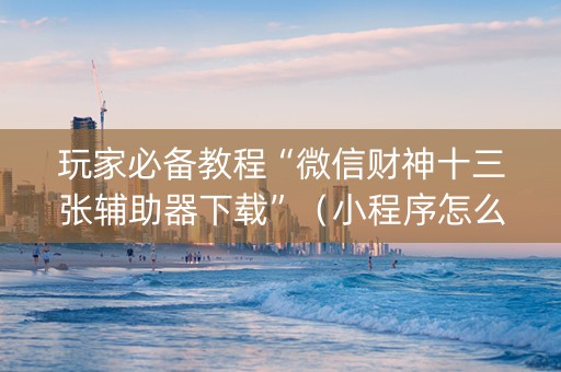 玩家必备教程“微信财神十三张辅助器下载”（小程序怎么才会赢)