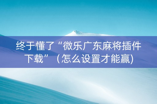 终于懂了“微乐广东麻将插件下载”（怎么设置才能赢)