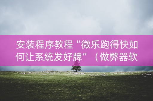 安装程序教程“微乐跑得快如何让系统发好牌”（做弊器软件下载)