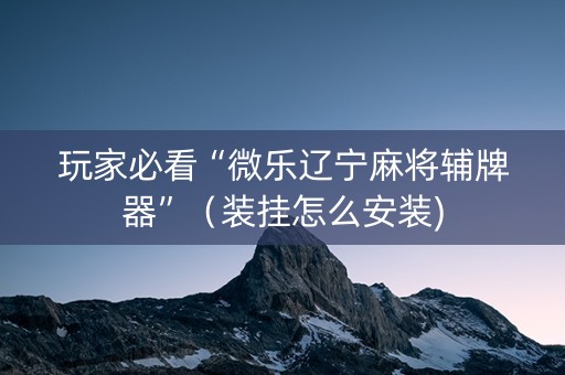 玩家必看“微乐辽宁麻将辅牌器”（装挂怎么安装)