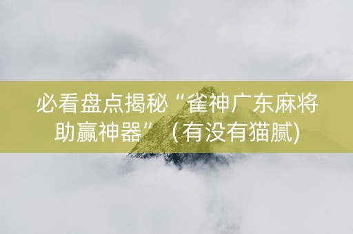 必看盘点揭秘“雀神广东麻将助赢神器”（有没有猫腻)