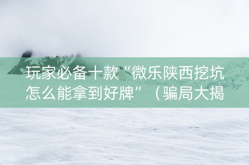 玩家必备十款“微乐陕西挖坑怎么能拿到好牌”（骗局大揭秘)