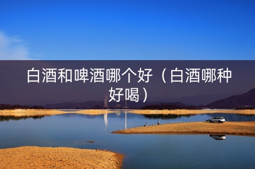 白酒和啤酒哪个好（白酒哪种好喝）