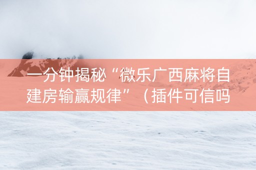 一分钟揭秘“微乐广西麻将自建房输赢规律”（插件可信吗)
