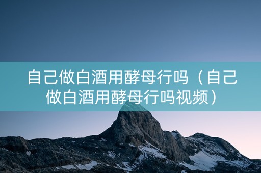 自己做白酒用酵母行吗（自己做白酒用酵母行吗视频）