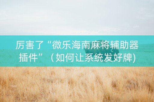 厉害了“微乐海南麻将辅助器插件”（如何让系统发好牌)