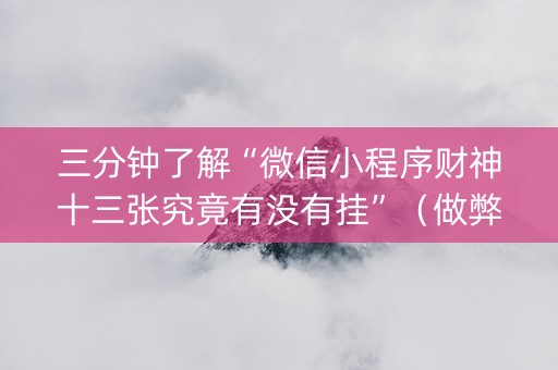 三分钟了解“微信小程序财神十三张究竟有没有挂”（做弊器软件下载)
