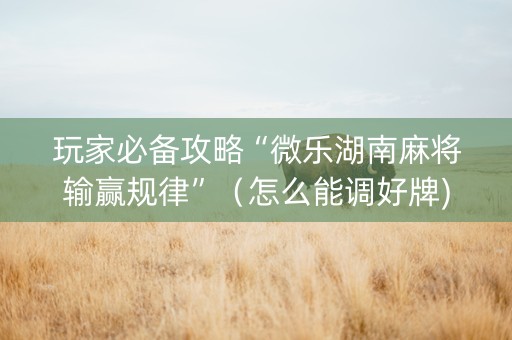 玩家必备攻略“微乐湖南麻将输赢规律”（怎么能调好牌)