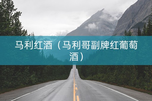 马利红酒（马利哥副牌红葡萄酒）
