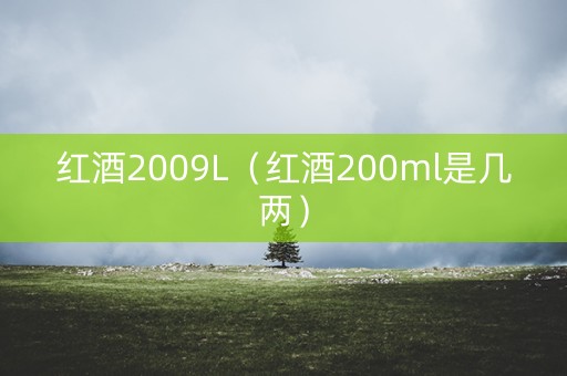 红酒2009L（红酒200ml是几两）