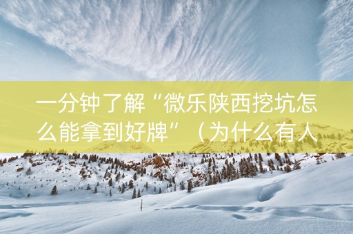 一分钟了解“微乐陕西挖坑怎么能拿到好牌”（为什么有人一直赢)