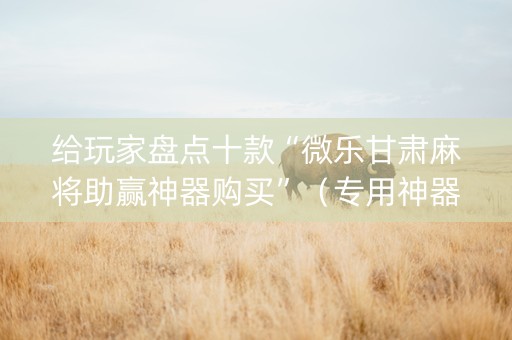 给玩家盘点十款“微乐甘肃麻将助赢神器购买”（专用神器下载)