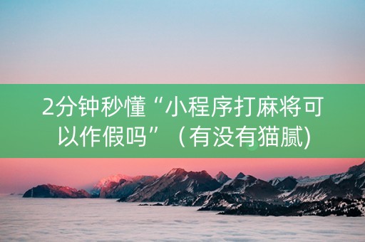 2分钟秒懂“小程序打麻将可以作假吗”（有没有猫腻)