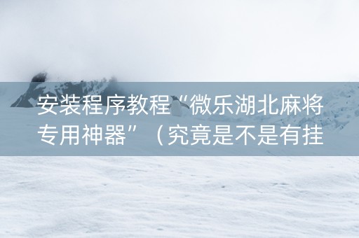 安装程序教程“微乐湖北麻将专用神器”（究竟是不是有挂)