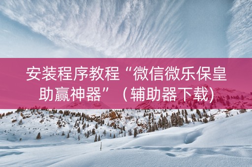 安装程序教程“微信微乐保皇助赢神器”（辅助器下载)