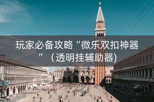 玩家必备攻略“微乐双扣神器”（透明挂辅助器)