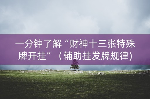 一分钟了解“财神十三张特殊牌开挂”（辅助挂发牌规律)
