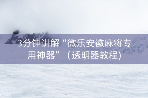 3分钟讲解“微乐安徽麻将专用神器”（透明器教程)