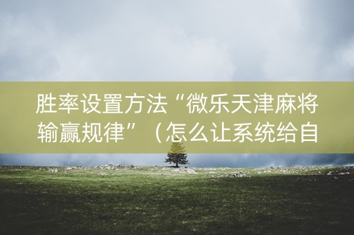 胜率设置方法“微乐天津麻将输赢规律”（怎么让系统给自己好牌)