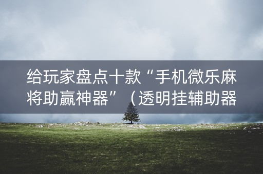 给玩家盘点十款“手机微乐麻将助赢神器”（透明挂辅助器)