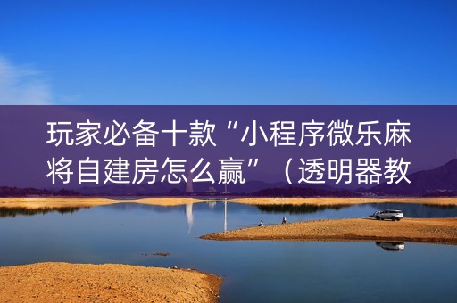玩家必备十款“小程序微乐麻将自建房怎么赢”（透明器教程)