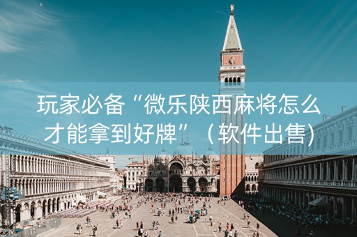 玩家必备“微乐陕西麻将怎么才能拿到好牌”（软件出售)