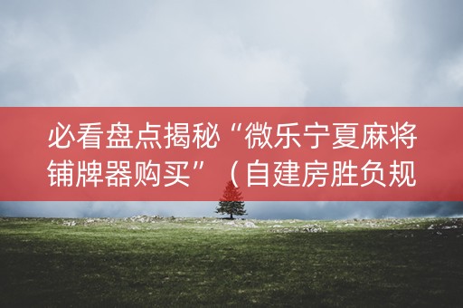 必看盘点揭秘“微乐宁夏麻将铺牌器购买”（自建房胜负规律)