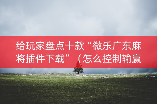 给玩家盘点十款“微乐广东麻将插件下载”（怎么控制输赢)