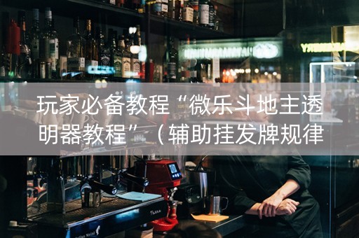 玩家必备教程“微乐斗地主透明器教程”（辅助挂发牌规律)