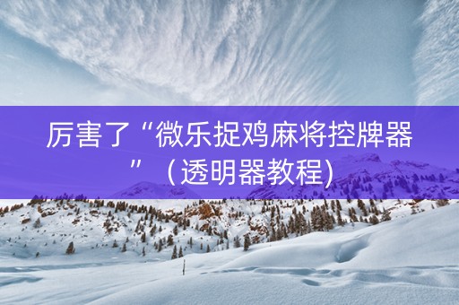 厉害了“微乐捉鸡麻将控牌器”（透明器教程)