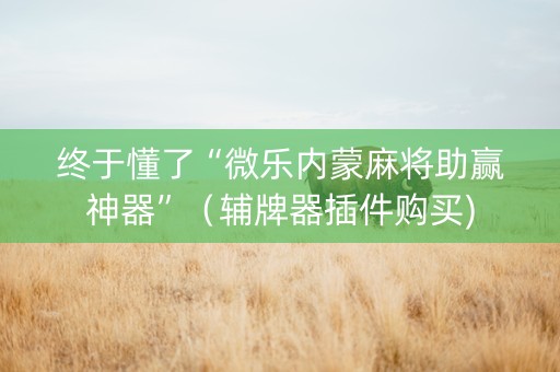 终于懂了“微乐内蒙麻将助赢神器”（辅牌器插件购买)