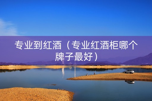 专业到红酒（专业红酒柜哪个牌子最好）