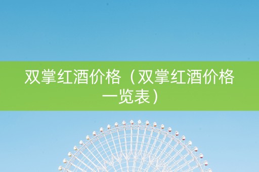 双掌红酒价格（双掌红酒价格一览表）