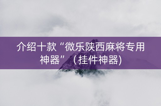 介绍十款“微乐陕西麻将专用神器”（挂件神器)