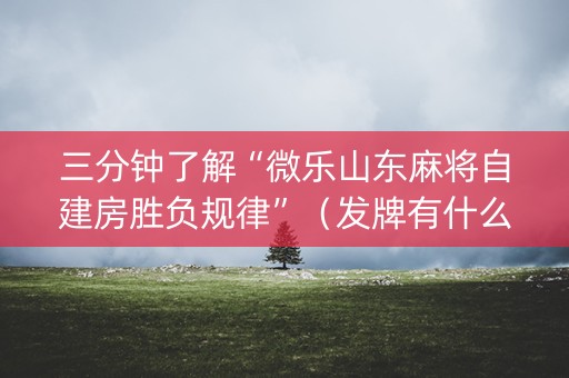 三分钟了解“微乐山东麻将自建房胜负规律”（发牌有什么规律吗)