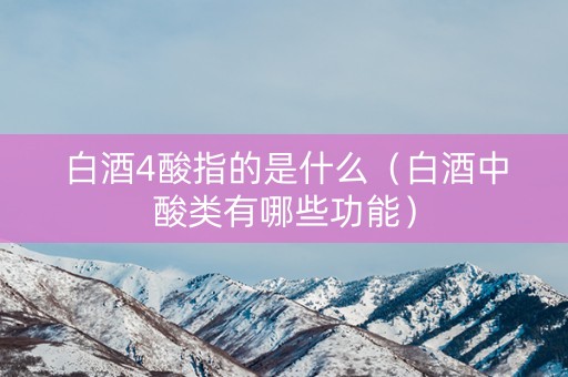 白酒4酸指的是什么（白酒中酸类有哪些功能）