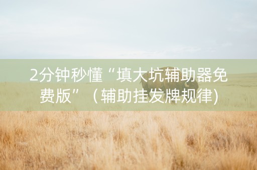 2分钟秒懂“填大坑辅助器免费版”（辅助挂发牌规律)