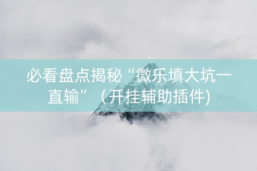 必看盘点揭秘“微乐填大坑一直输”（开挂辅助插件)