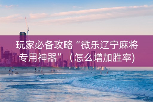 玩家必备攻略“微乐辽宁麻将专用神器”（怎么增加胜率)