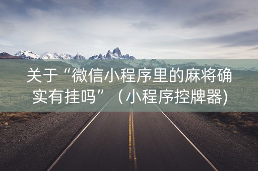 关于“微信小程序里的麻将确实有挂吗”（小程序控牌器)