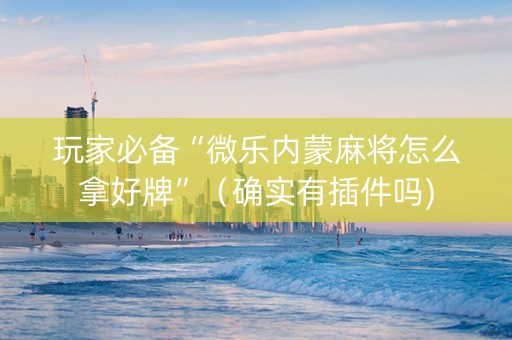玩家必备“微乐内蒙麻将怎么拿好牌”（确实有插件吗)