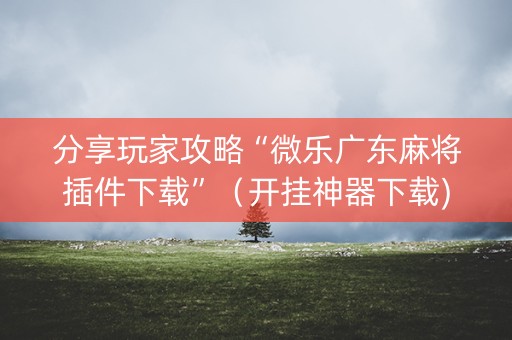 分享玩家攻略“微乐广东麻将插件下载”（开挂神器下载)