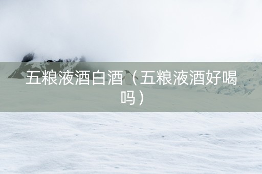 五粮液酒白酒（五粮液酒好喝吗）