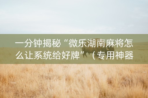 一分钟揭秘“微乐湖南麻将怎么让系统给好牌”（专用神器)