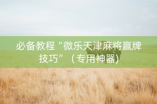 必备教程“微乐天津麻将赢牌技巧”（专用神器)