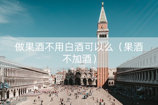 做果酒不用白酒可以么（果酒不加酒）