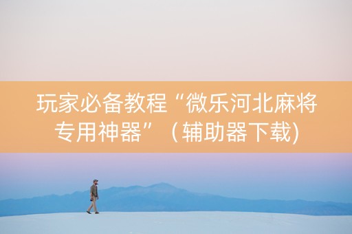 玩家必备教程“微乐河北麻将专用神器”（辅助器下载)