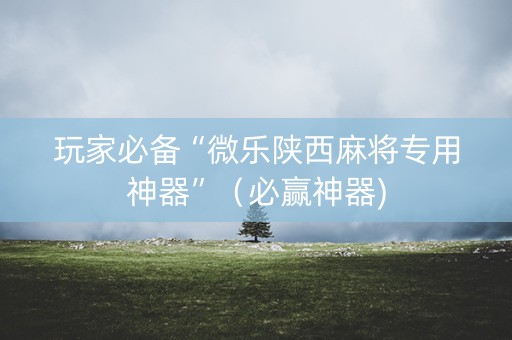 玩家必备“微乐陕西麻将专用神器”（必赢神器)